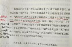 波尔图传射建功，泰山新星横空出世，场边球探频频记笔记